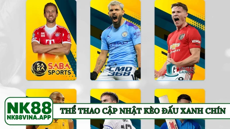 Thể thao cập nhật kèo đấu xanh chín